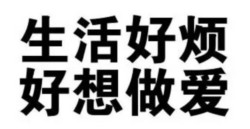 用图撩表情包