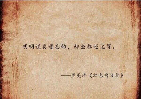 歌中的词