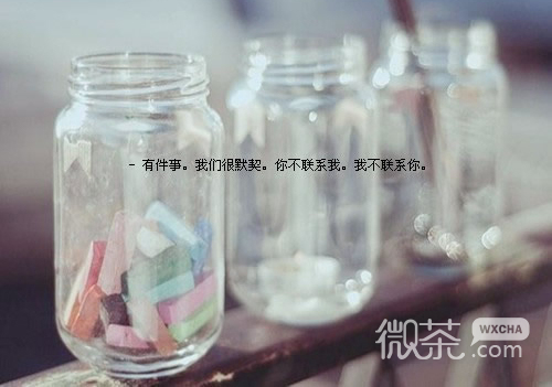 素雅清新的个性文字大图 嗜爱为欢的你，总是走马观花的爱着