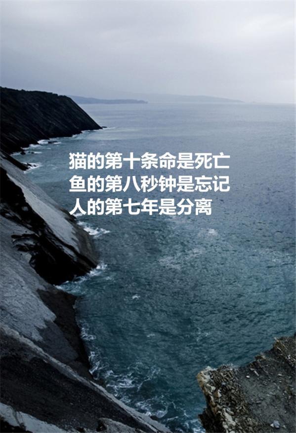 优美意境心情文字个性大图 只有你快乐了,我才能够得到幸福