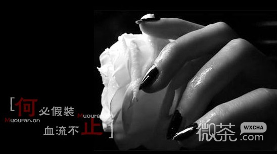 经典情感签名图片_终于,一切都结束了