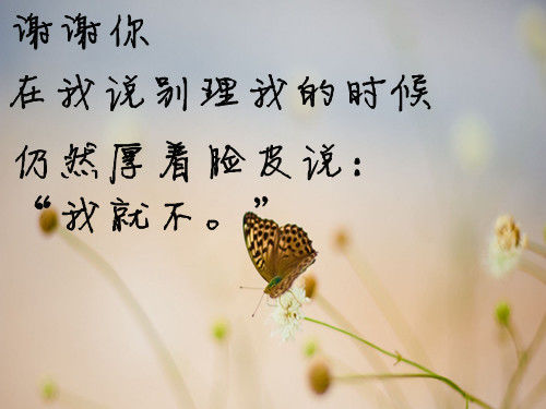 伤感的个性最美三行文字情书 哭到微笑为止,才不会一直伤到自己