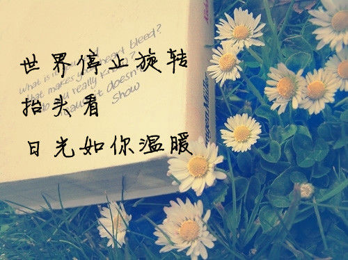 伤感的个性最美三行文字情书 哭到微笑为止,才不会一直伤到自己