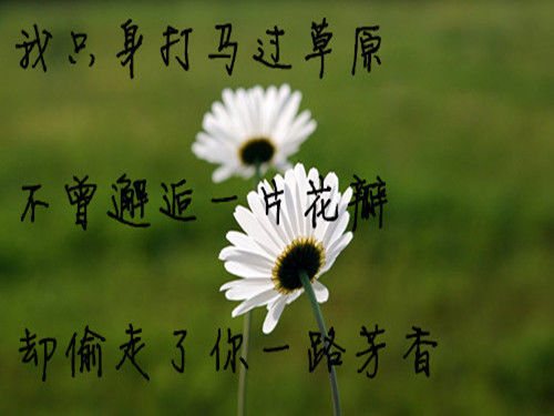 伤感的个性最美三行文字情书 哭到微笑为止,才不会一直伤到自己