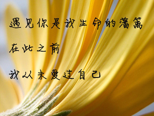 伤感的个性最美三行文字情书 哭到微笑为止,才不会一直伤到自己