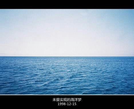 优雅文字大图个性心情空间图集 抛撒给你的情,却只收割到了荒废