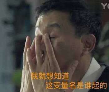 达康程序员表情包