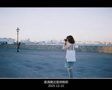 优雅文字大图个性心情空间图集 抛撒给你的情,却只收割到了荒废