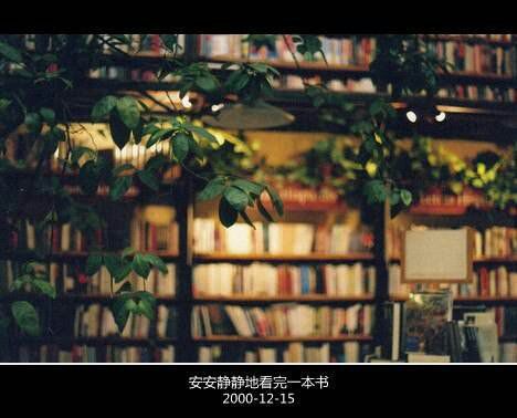 优雅文字大图个性心情空间图集 抛撒给你的情,却只收割到了荒废