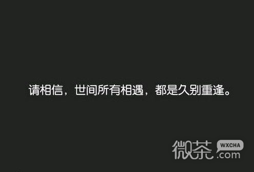 非主流伤感空间伤感句子图片 我们都在赌,赌一场没有明天的爱情