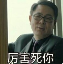人民的民义高亚麟愤怒表情包