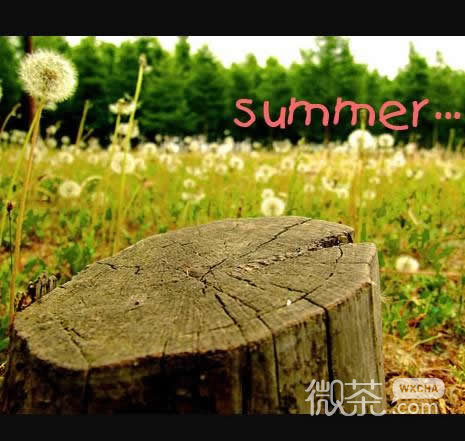 炫彩情感签名图片_放弃了整个世界,只因世界容不下我