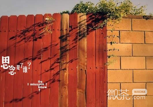 炫彩情感签名图片_放弃了整个世界,只因世界容不下我