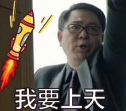 人民的民义高亚麟愤怒表情包