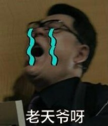 人民的民义高亚麟愤怒表情包