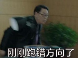 人民的民义高亚麟愤怒表情包