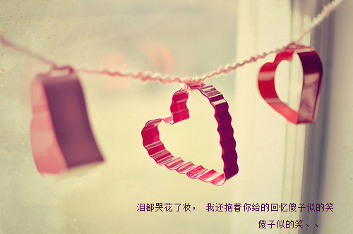 唯美个性空间美图带字 爱已在心里风云聚起,预演着生变的前曲
