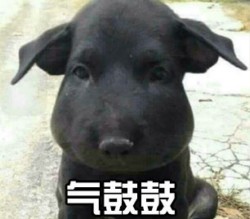 气鼓鼓表情包