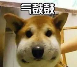气鼓鼓表情包