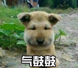 气鼓鼓表情包