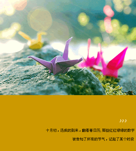 被爱的人永远不知道,爱你的人有多么痛苦 小清新唯美空间文字图
