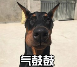 气鼓鼓表情包