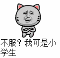 搞笑动图第四弹表情包