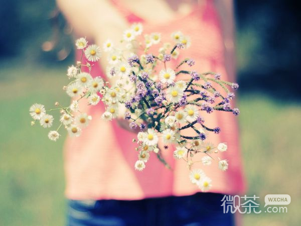 悠闲时光唯美意境大图2017岁岁又年年，爱情已悄悄改变