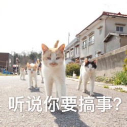 听说你要搞事啊表情包