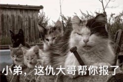 听说你要搞事啊表情包
