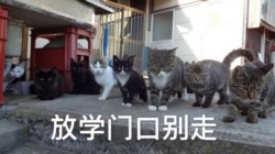 听说你要搞事啊表情包