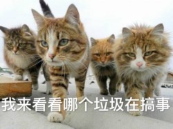 听说你要搞事啊表情包