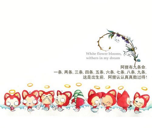 关于阿狸有九条命的故事插画 据说,阿狸是只九命小猫呐