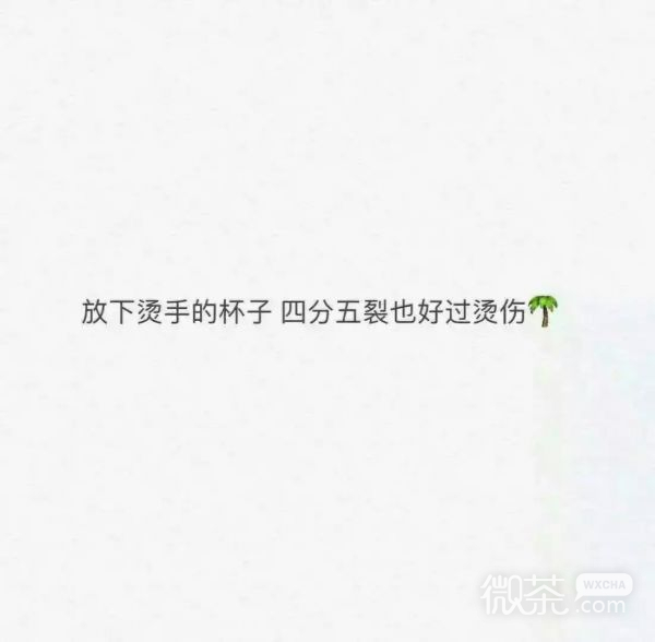 白玫瑰：别睡太晚，梦会变短