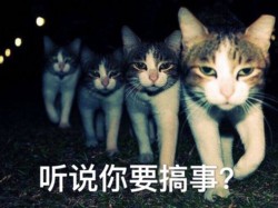 听说你要搞事啊表情包