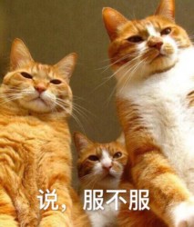 听说你要搞事啊表情包