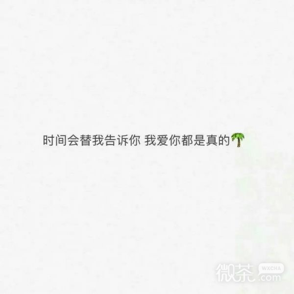 白玫瑰：别睡太晚，梦会变短