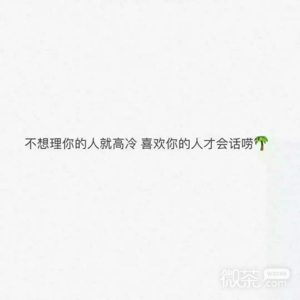白玫瑰：别睡太晚，梦会变短