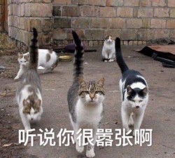 听说你要搞事啊表情包