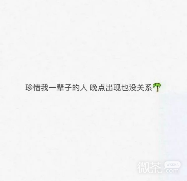 白玫瑰：别睡太晚，梦会变短