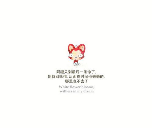 关于阿狸有九条命的故事插画 据说,阿狸是只九命小猫呐