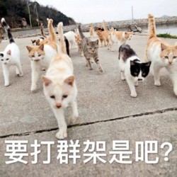 听说你要搞事啊表情包
