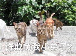 听说你要搞事啊表情包