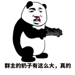 没图聊个毛表情包