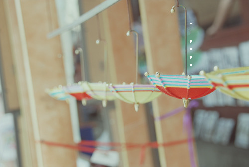 唯美治愈系清新风格图片 不再代受你的伤,不再多管你不绝的愁