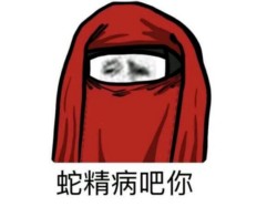 没图聊个毛表情包