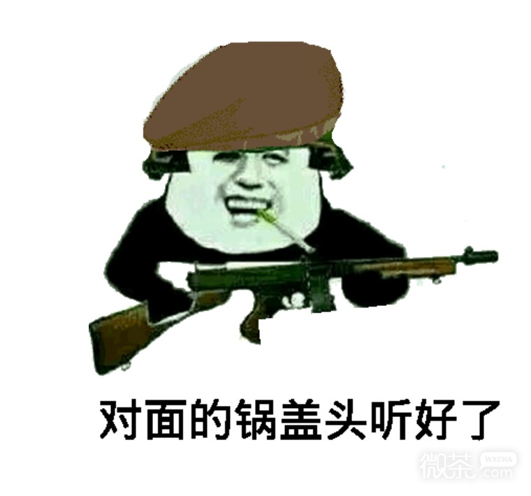 背锅表情包