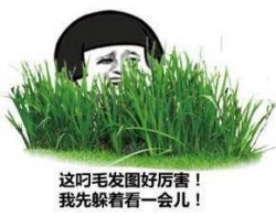 骚图大全第十九期表情包