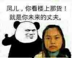 没图聊个毛第二期表情包