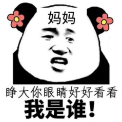 没图聊个毛第二期表情包